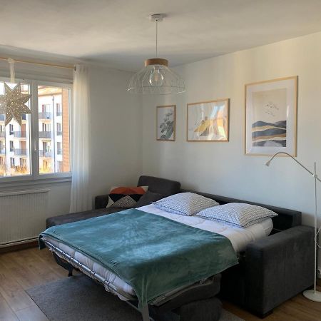 Appartement Cosy Proche Du Centre Annecy Dış mekan fotoğraf