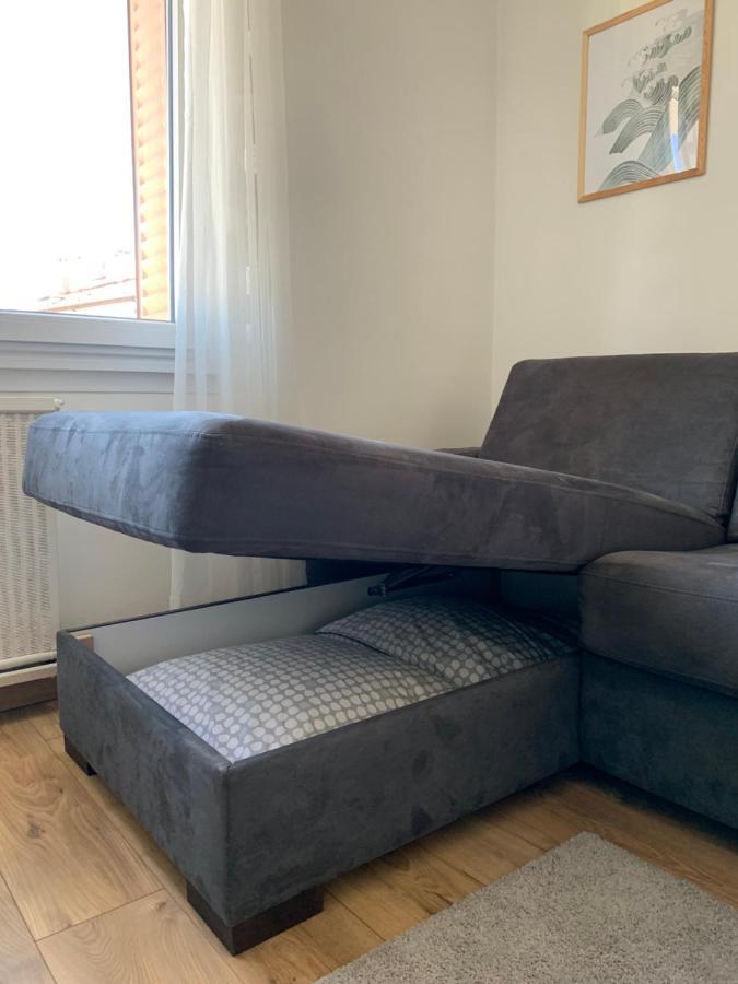 Appartement Cosy Proche Du Centre Annecy Dış mekan fotoğraf